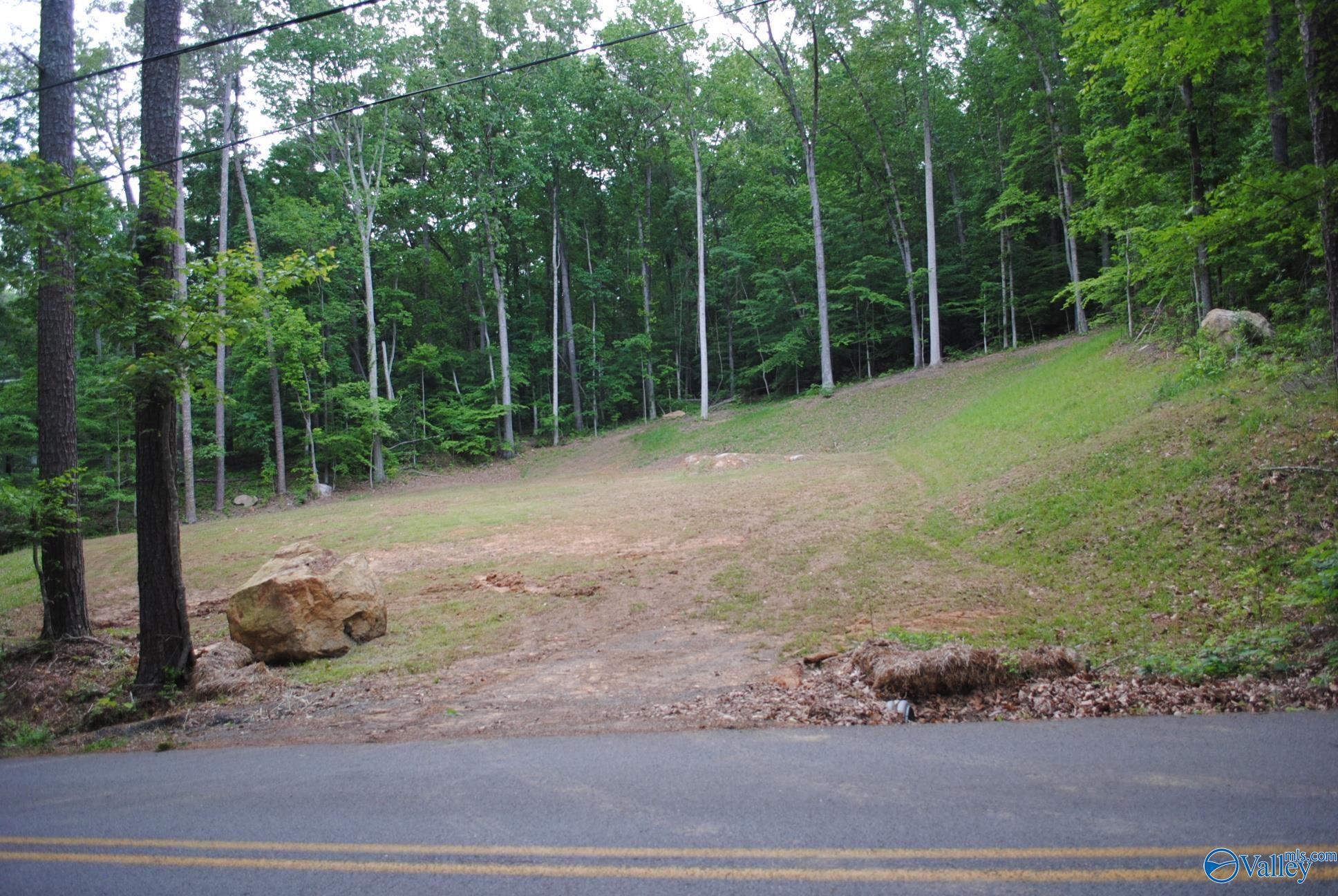 LOTS 82 AND 83 Wyeth Drive, Guntersville, Alabama image 22