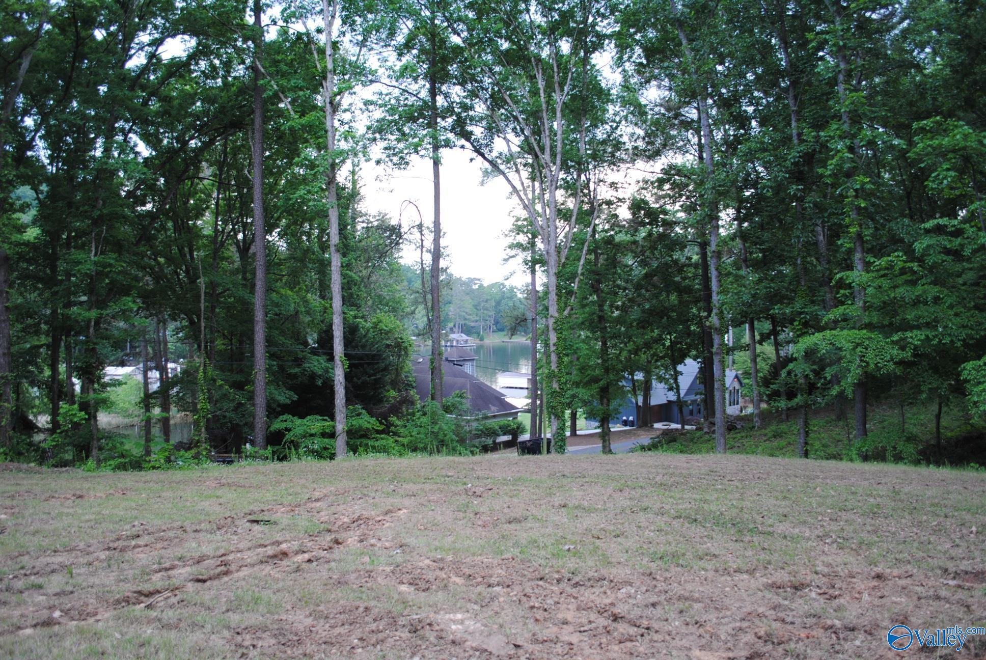 LOTS 82 AND 83 Wyeth Drive, Guntersville, Alabama image 26