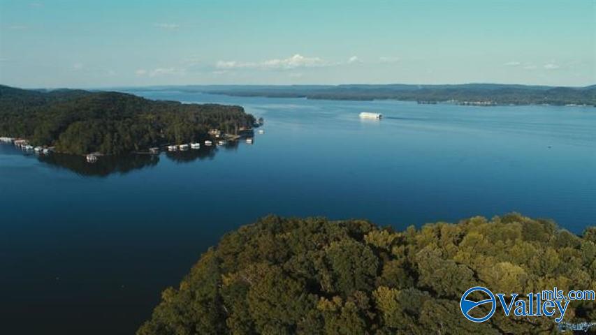 199 Anchor Avenue, Scottsboro, Alabama image 15