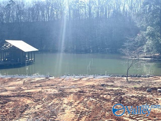 199 Anchor Avenue, Scottsboro, Alabama image 41