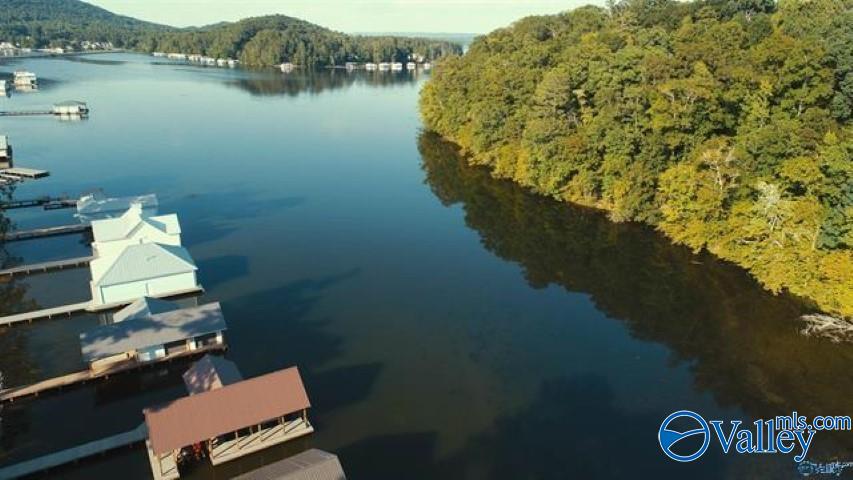 199 Anchor Avenue, Scottsboro, Alabama image 16