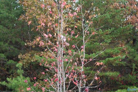 Vacant Land For Sale - LOT #3 Hillside Drive<br/> Fort Payne, AL 35968