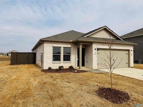 Homes For Rent - 141 Havner Drive<br/> Hazel Green, AL 35750