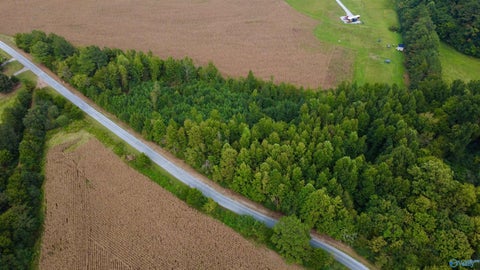 Vacant Land For Sale - 4 ACRES Monday Road<br/> Lester, AL 35647