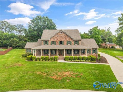 Photo of 2993 Elk Meadows Drive SE, Brownsboro, AL 35741 (MLS # 21919339)