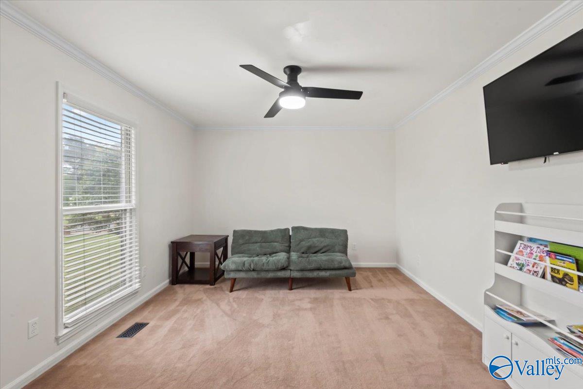 206 Collier Drive, Albertville, Alabama image 3