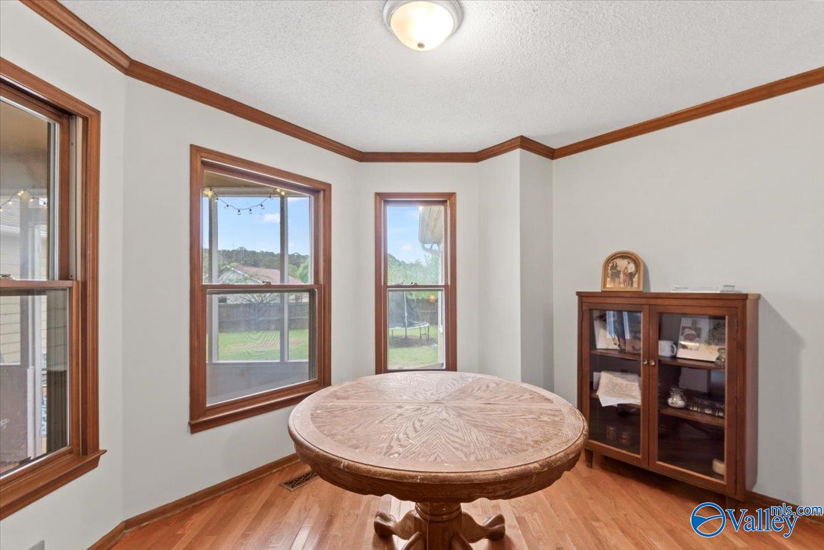 206 Collier Drive, Albertville, Alabama image 12