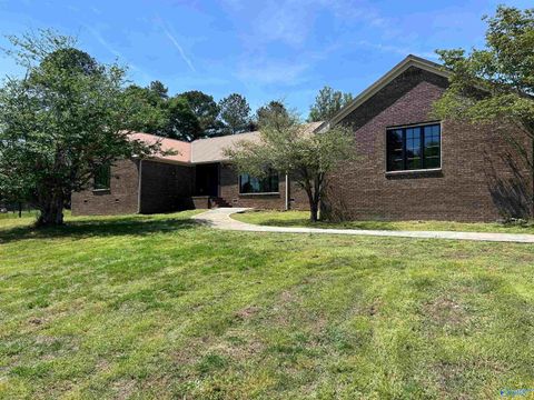Homes For Sale - 55101 State Highway 79<br/> Blountsville, AL 35031