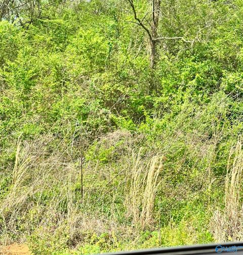 Vacant Land For Sale - LOT 1 Salem Minor Hill Road<br/> Lester, AL 35647