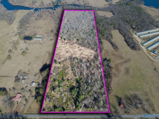 68 COUNTY RD 322, HENAGAR, AL 35978 - Image b32a08a0ecce6d3b01b70cae76d321a6/3696206969