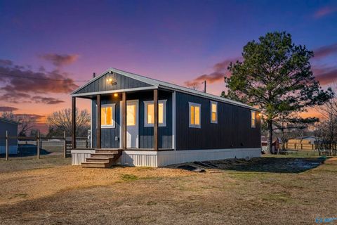 Photo of 115 Lemons Road, Grant, AL 35747 (MLS # 21908899)