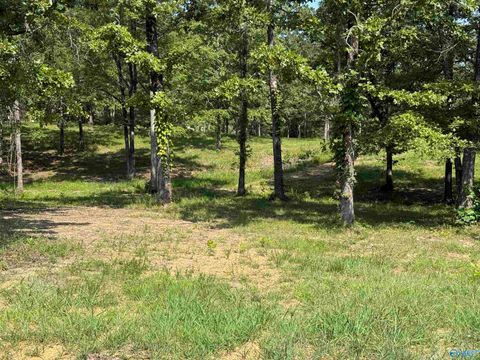 Vacant Land For Sale - 1 County Road 819<br/> Cherokee County, Cedar Bluff, AL 35959
