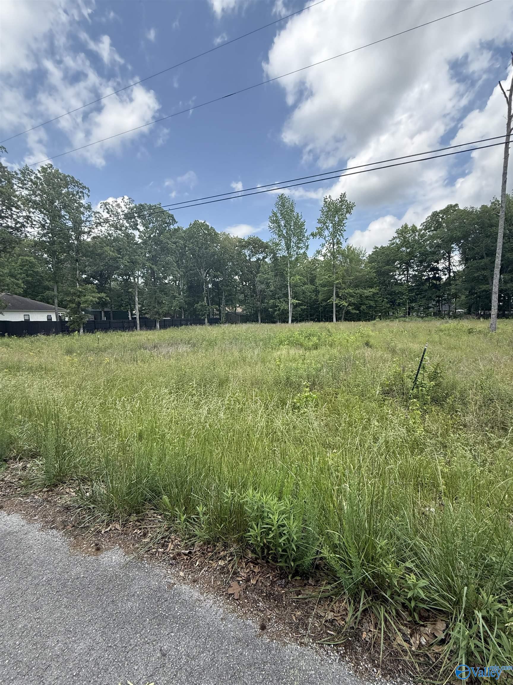 28447 Jessica Drive, Toney, Alabama image 1