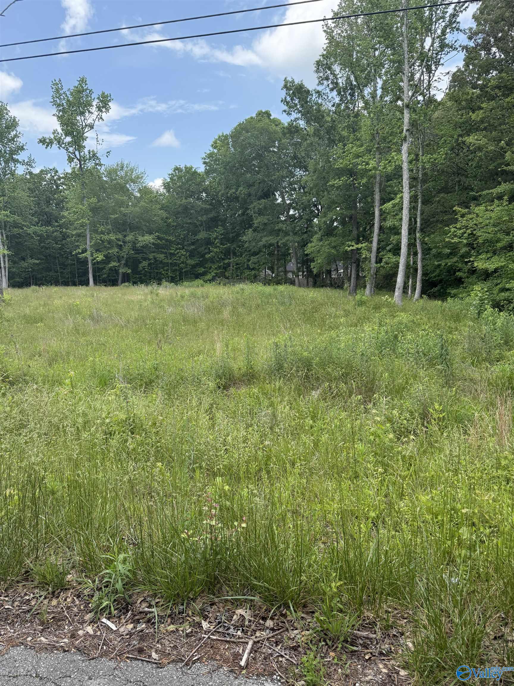 28447 Jessica Drive, Toney, Alabama image 2