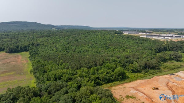 SEC 22 MONROE ROAD, TONEY, AL 35773 - Image b35d79126cdfe8e407b564275b804ed2/225489068