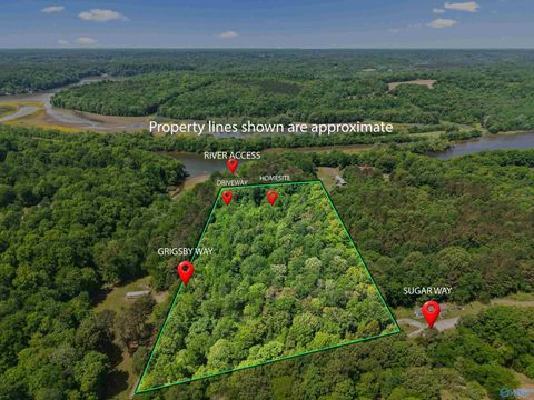 Vacant Land For Sale - 12105 Grigsby Ferry Road<br/> Elkmont, AL 35620