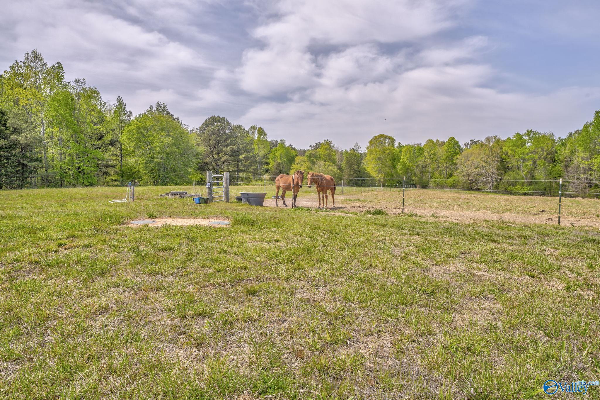 625 County Road 142, Fort Payne, Alabama image 20