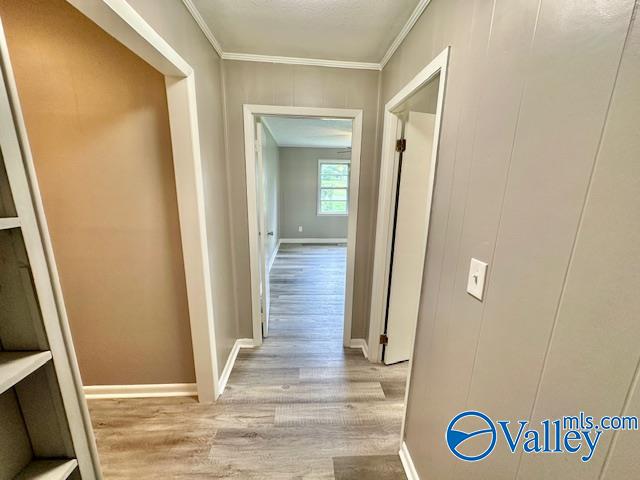 196 Johnson Street, Rainsville, Alabama image 18