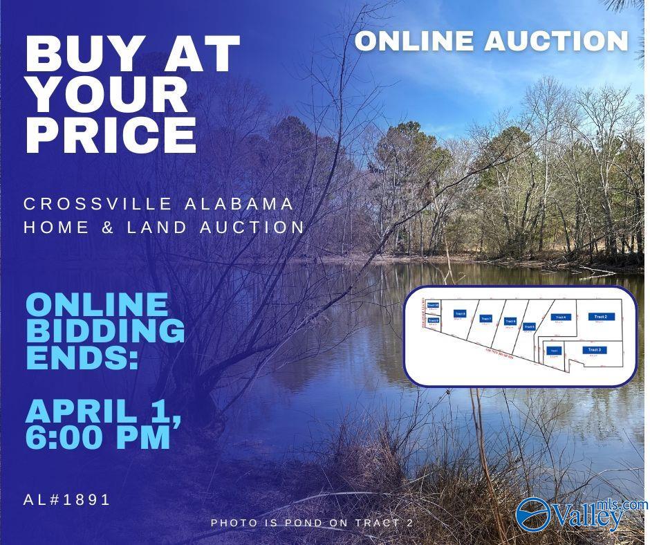 Tract 6   5 Acr County Road 24, Crossville, Alabama image 1