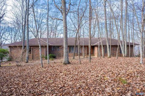 Photo of Fort Payne, AL 35967 (MLS # 21905545)