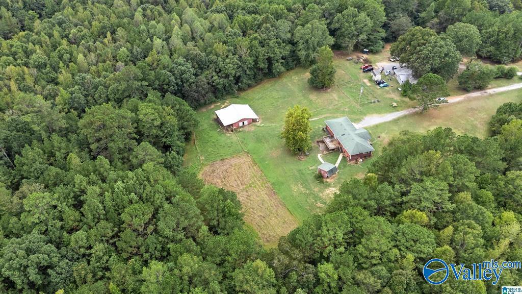 389 County Road 555, Hanceville, Alabama image 26