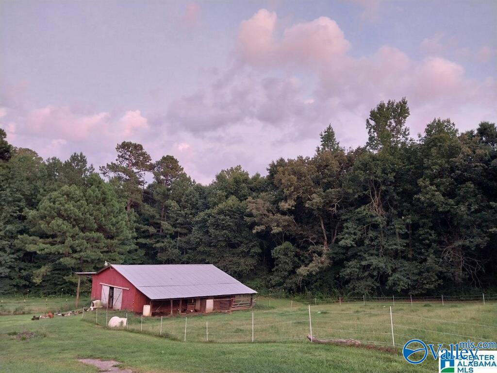 389 County Road 555, Hanceville, Alabama image 3