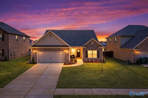 Homes For Sale - 209 Allegro Circle<br/> Harvest, AL 35749
