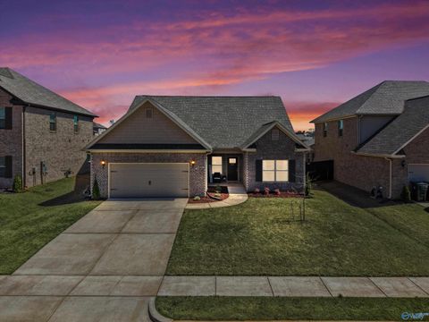 Photo of 209 Allegro Circle, Harvest, AL 35749 (MLS # 21912328)