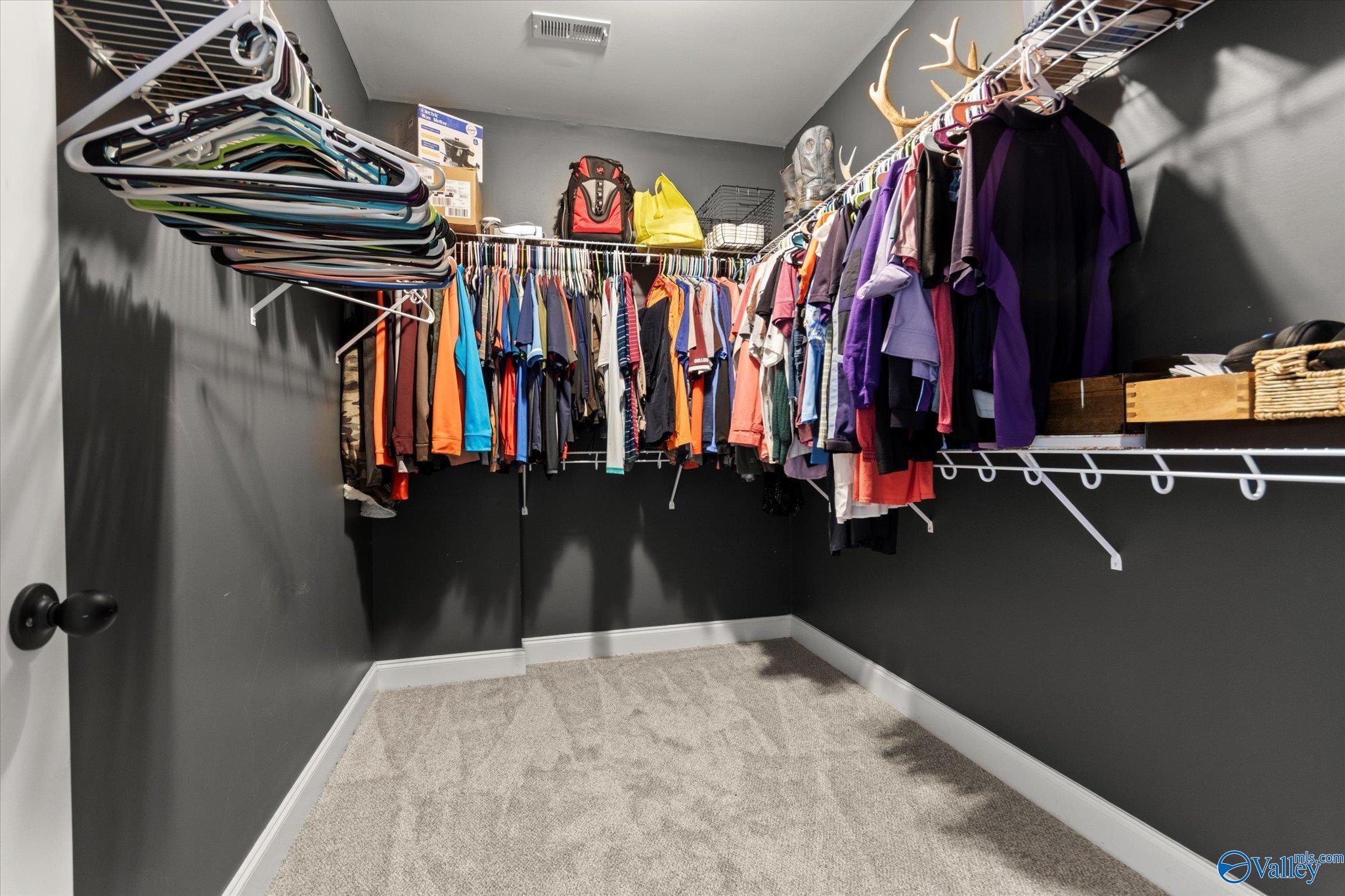 115 Grassy Bank Drive, New Market, Alabama image 19