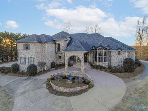 Photo of 301 County Road 1027, Valley Head, AL 35989 (MLS # 21910149)