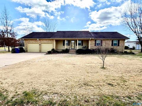 Photo of 332 Joe Hope Drive, Geraldine, AL 35974 (MLS # 21908374)