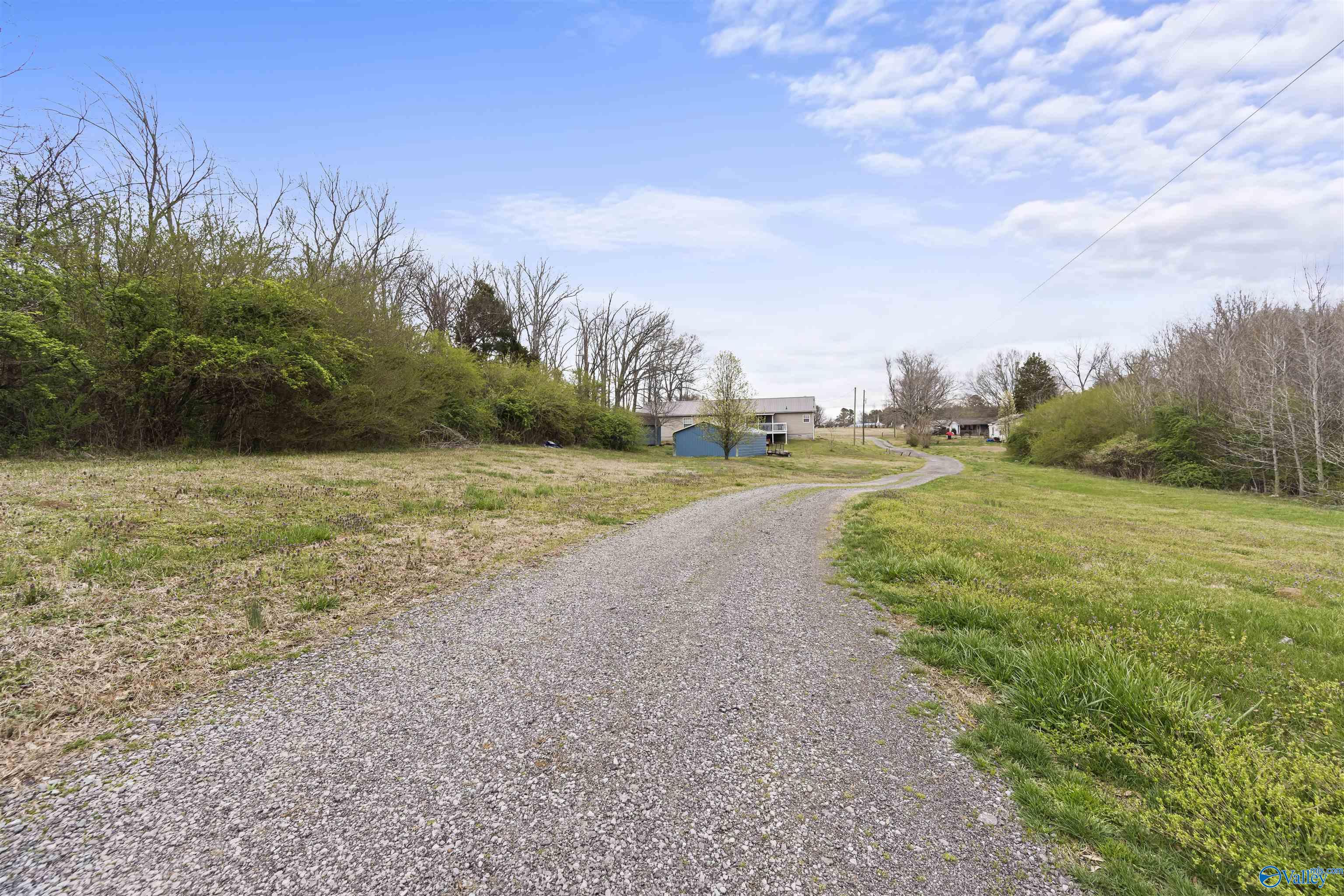 157 Bell Springs Road, Falkville, Alabama image 29