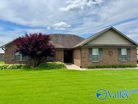 Homes For Sale - 28436 Hinton Lane<br/> Toney, AL 35773