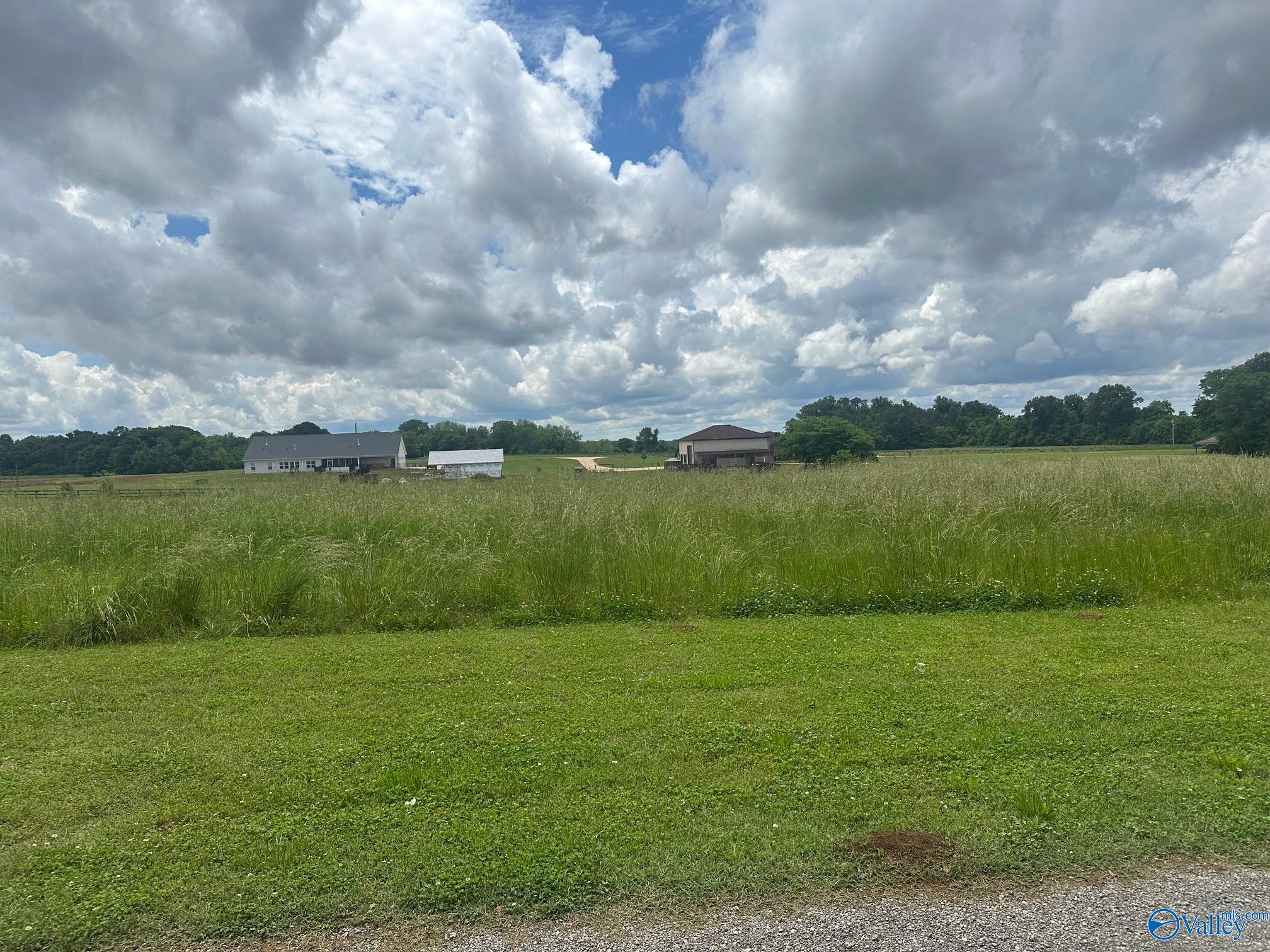 23788 Styles Way, Athens, Alabama image 2