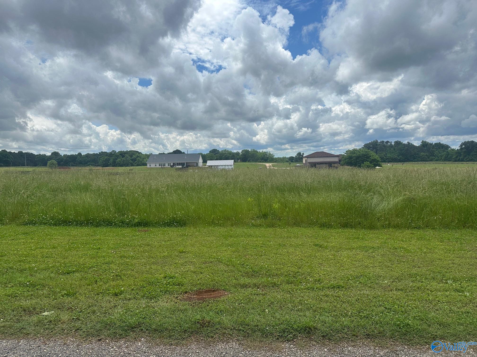 23788 Styles Way, Athens, Alabama image 1