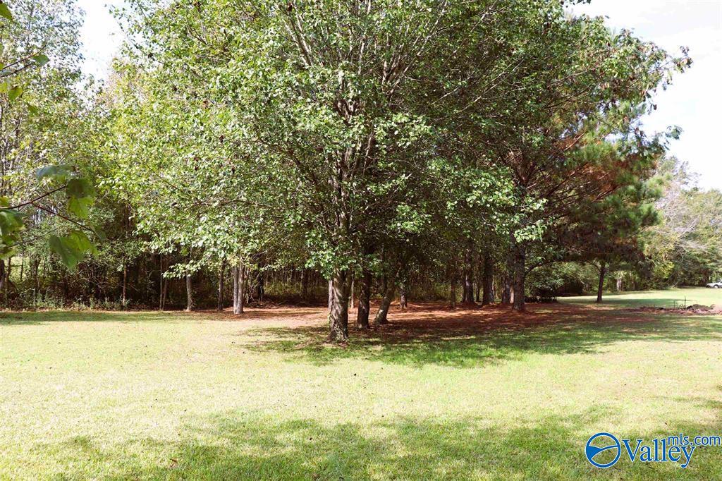 69 Gum Springs Cut Off, Hartselle, Alabama image 32
