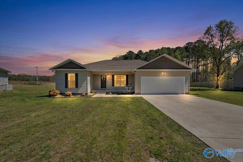 Homes For Sale - 436 Granite Circle<br/> Albertville, AL 35950