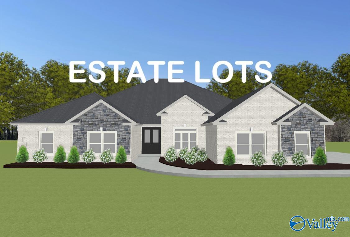 Manchester-E1 Newby Chapel Road, Athens, Alabama image 1