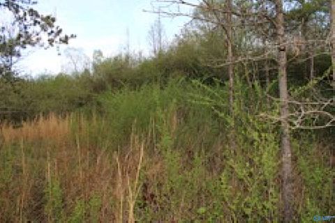 Vacant Land For Sale - 3.23 +/- ACRES County Road 52<br/> Cedar Bluff, AL 35983