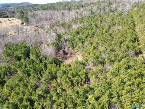 Vacant Land For Sale - 1.90 ACRES Gault Avenue<br/> Fort Payne, AL 35967