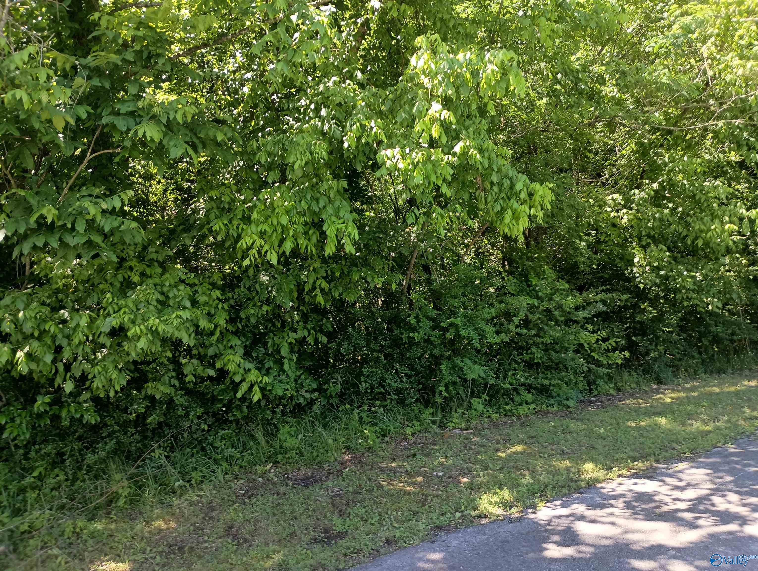 1525 Meadowbrook Avenue, Gadsden, Alabama image 1