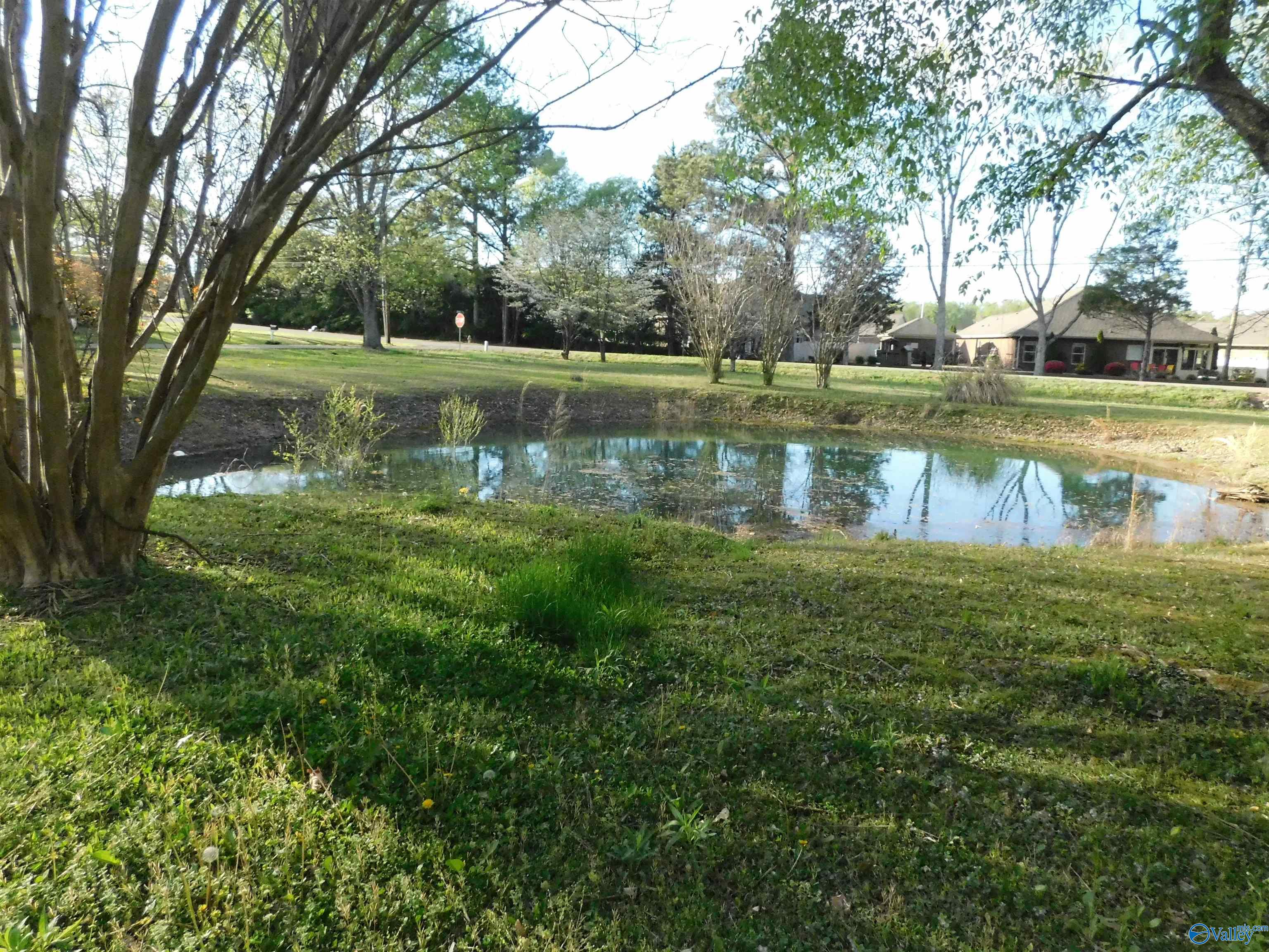 121 Mcneill Road, Harvest, Alabama image 4