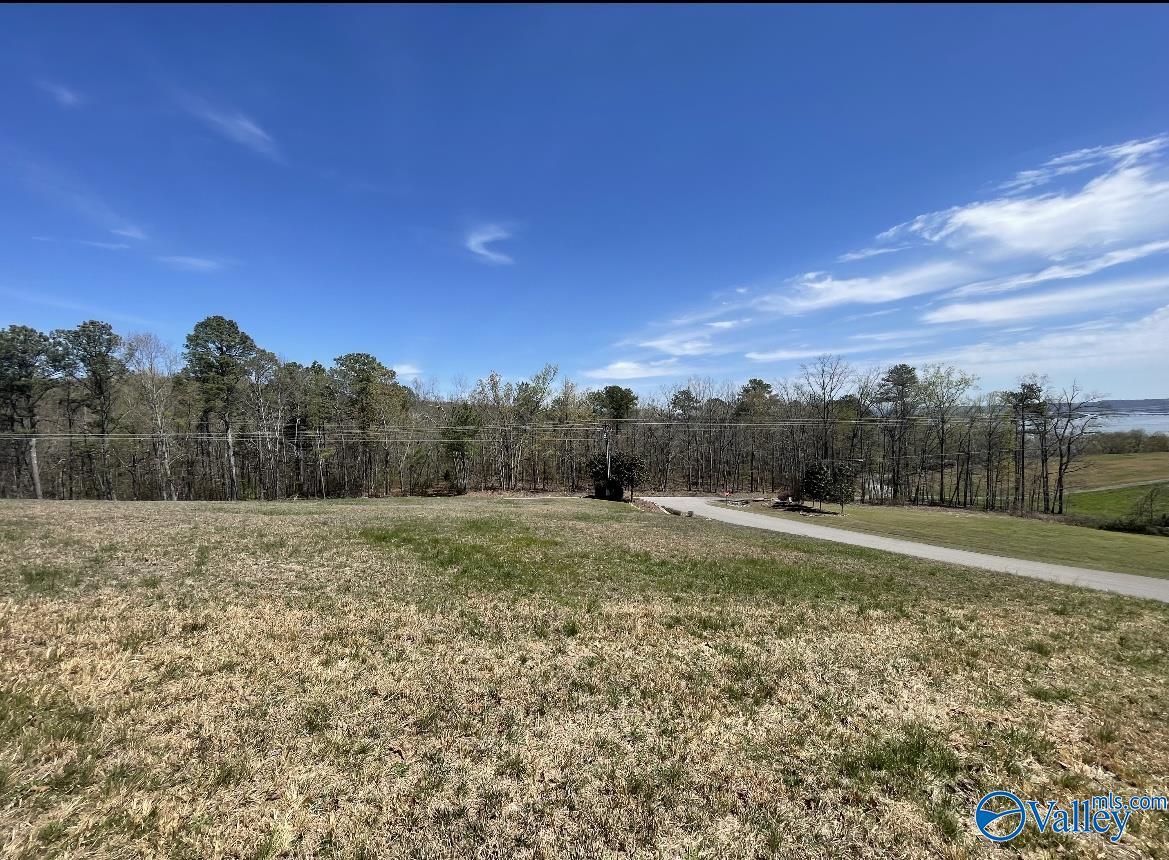 X Lister Ferry Road, Rainbow City, Alabama image 8