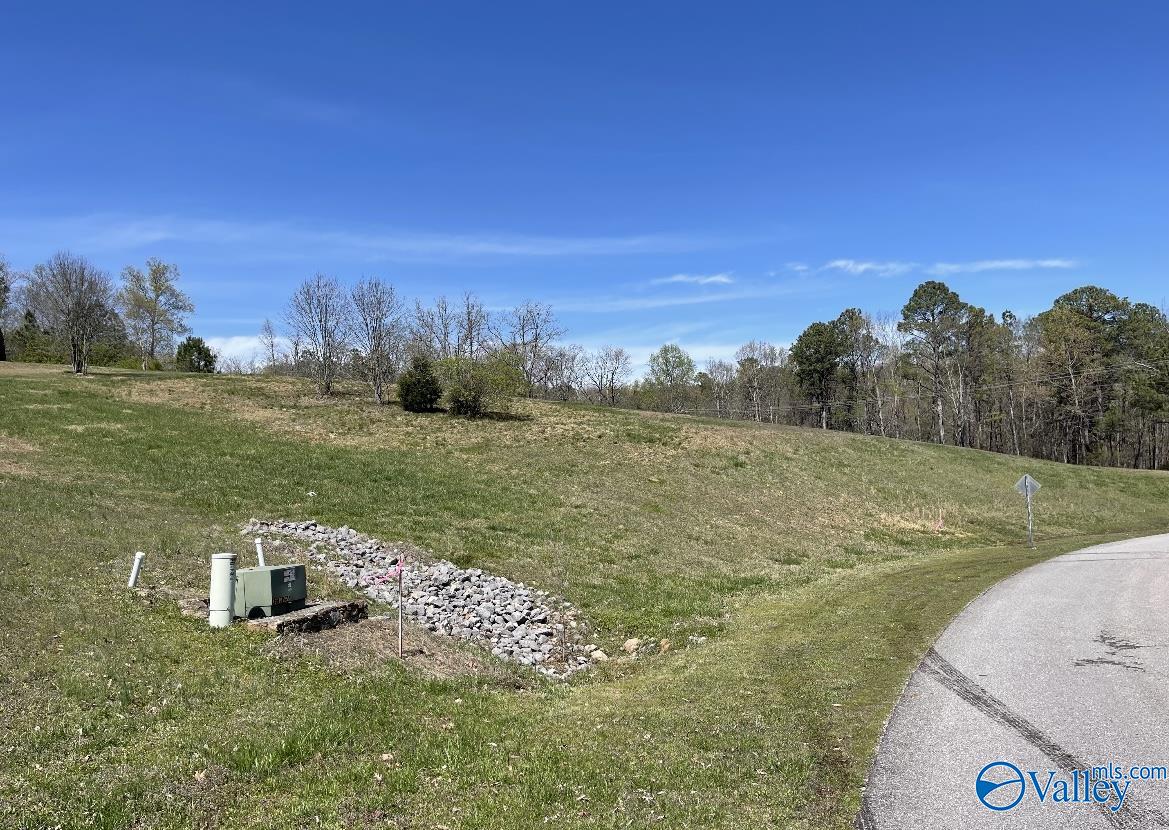 X Lister Ferry Road, Rainbow City, Alabama image 7