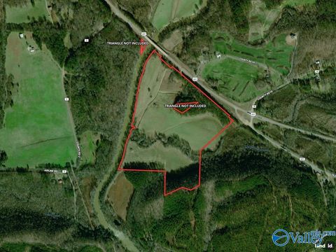 Vacant Land For Sale - 72 ACRES Highway 431<br/> Heflin, AL 36264