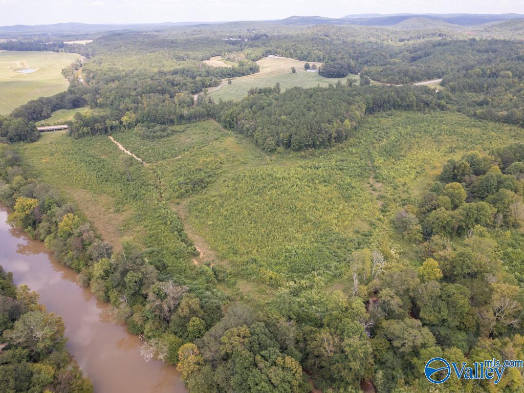 72 Acres Highway 431, Heflin, Alabama image 14