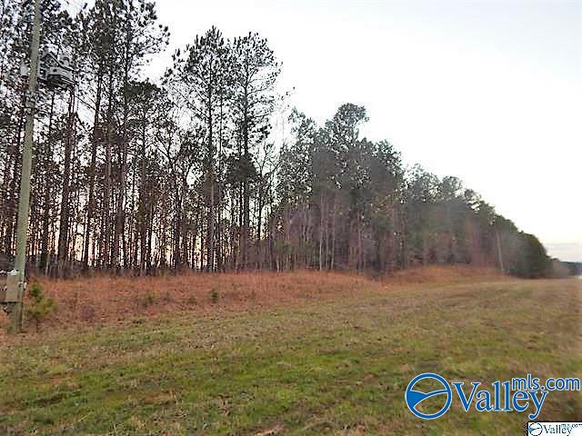 72 Acres Highway 431, Heflin, Alabama image 5