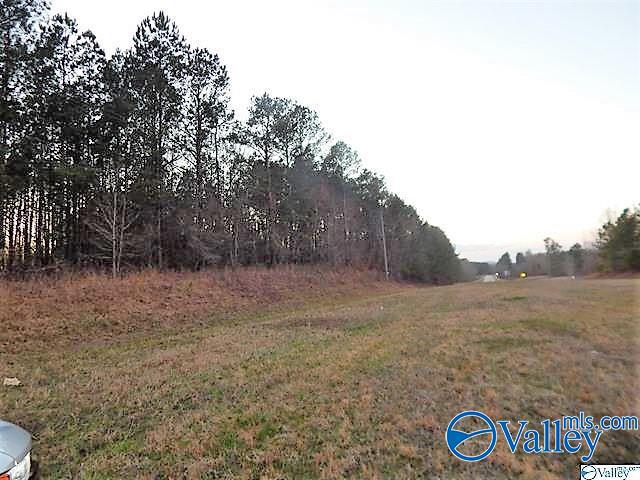 72 Acres Highway 431, Heflin, Alabama image 3