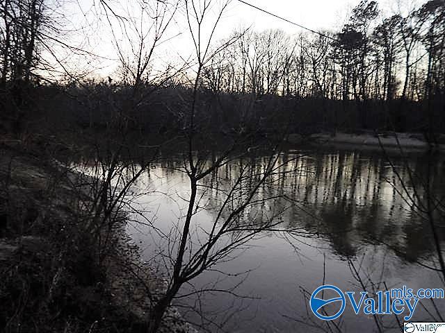 72 Acres Highway 431, Heflin, Alabama image 9