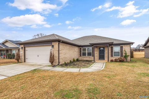 Homes For Sale - 111 Clayton Mance Road<br/> New Market, AL 35761